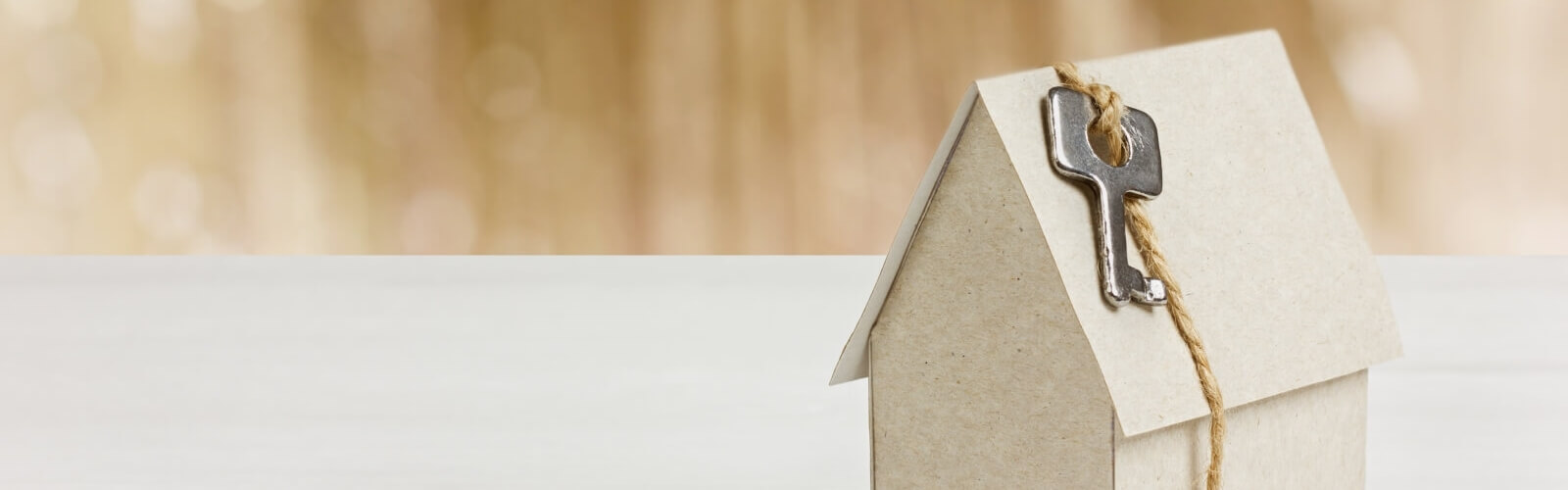 Protection and Insurance Service