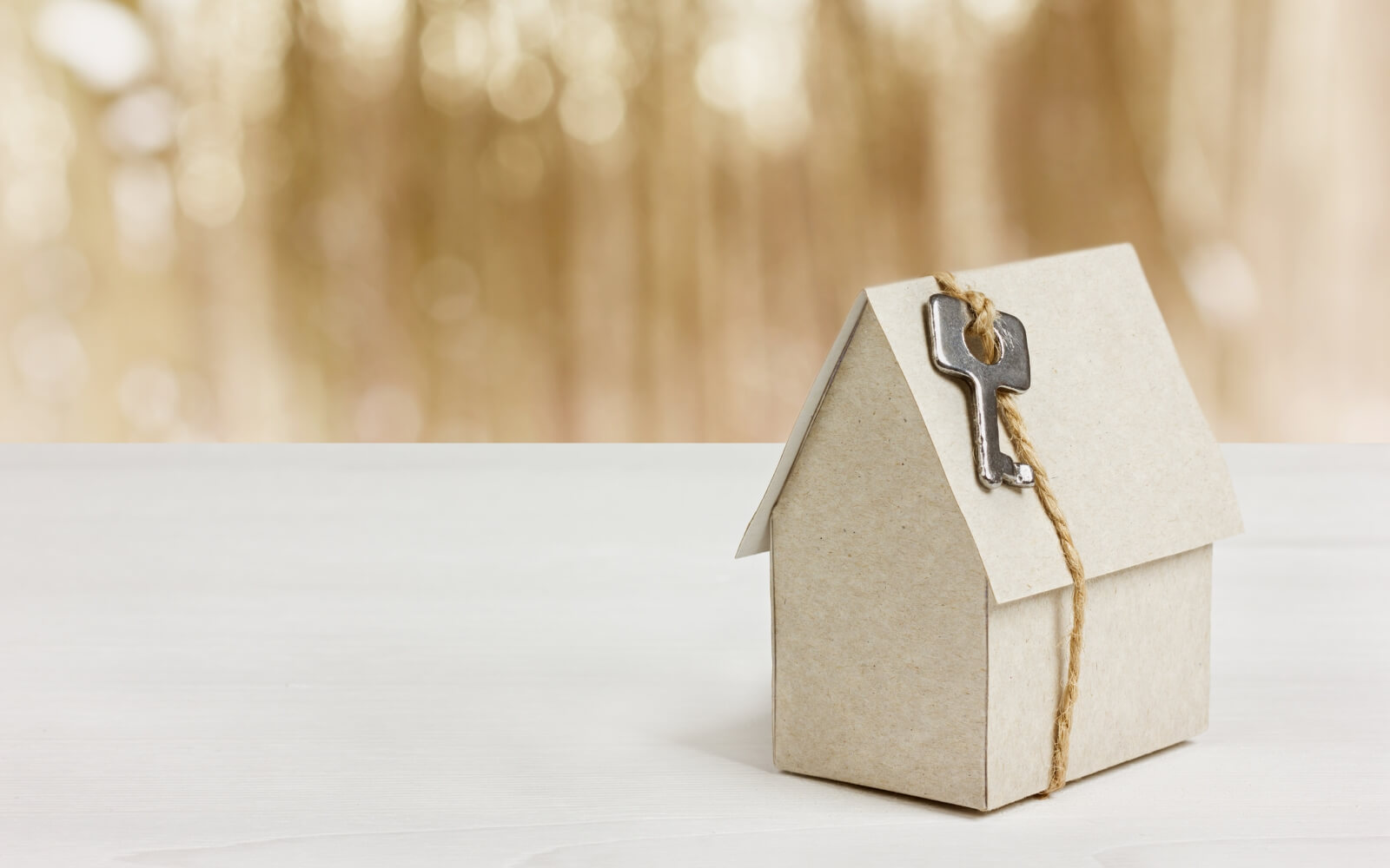 Protection and Insurance Service