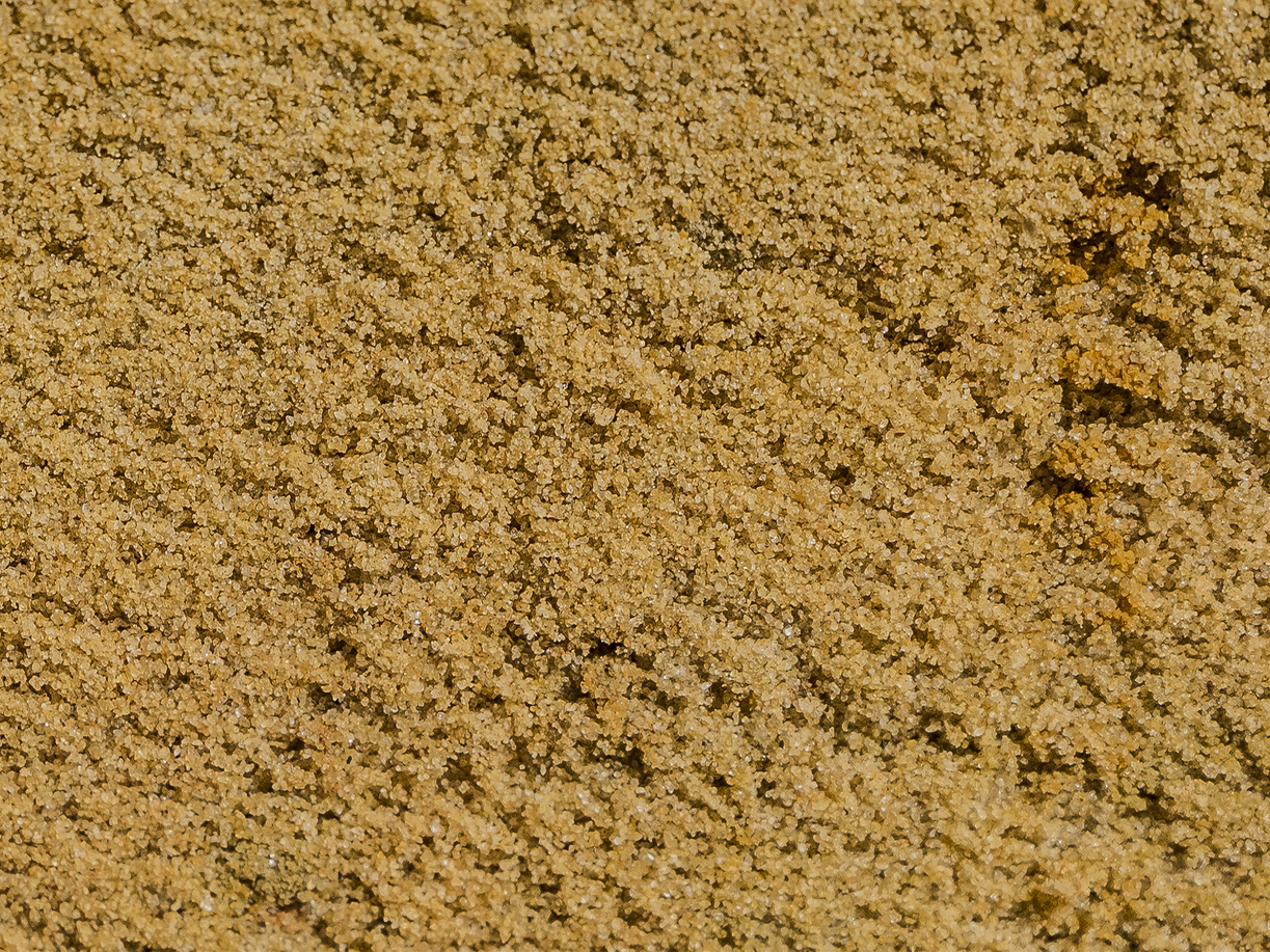 Topsoil & Equestrian Sands