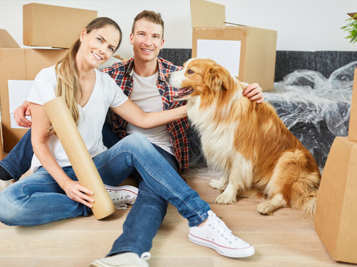 Moving House with your Dog