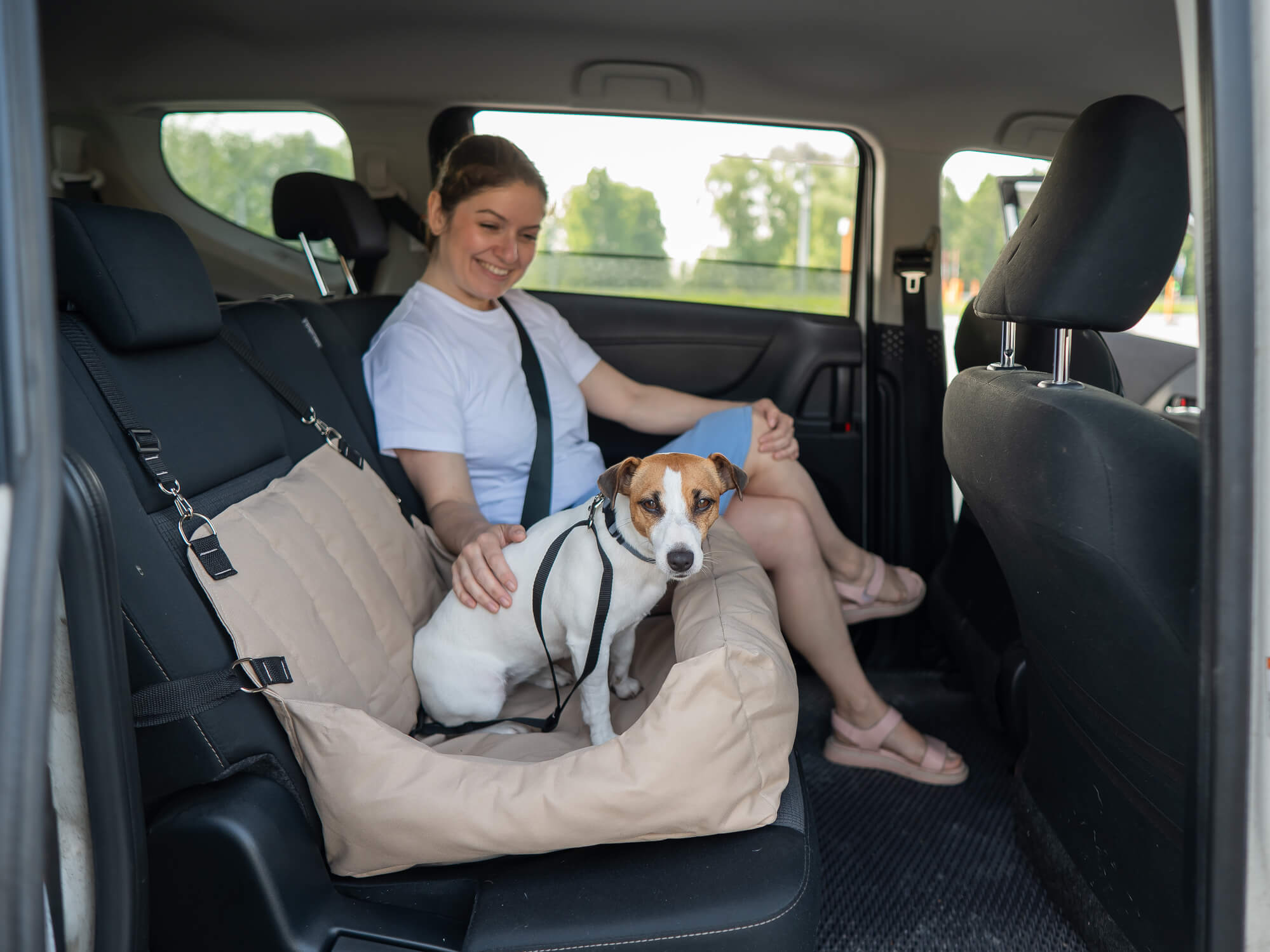 Dog in backseat of car, with doggy bed