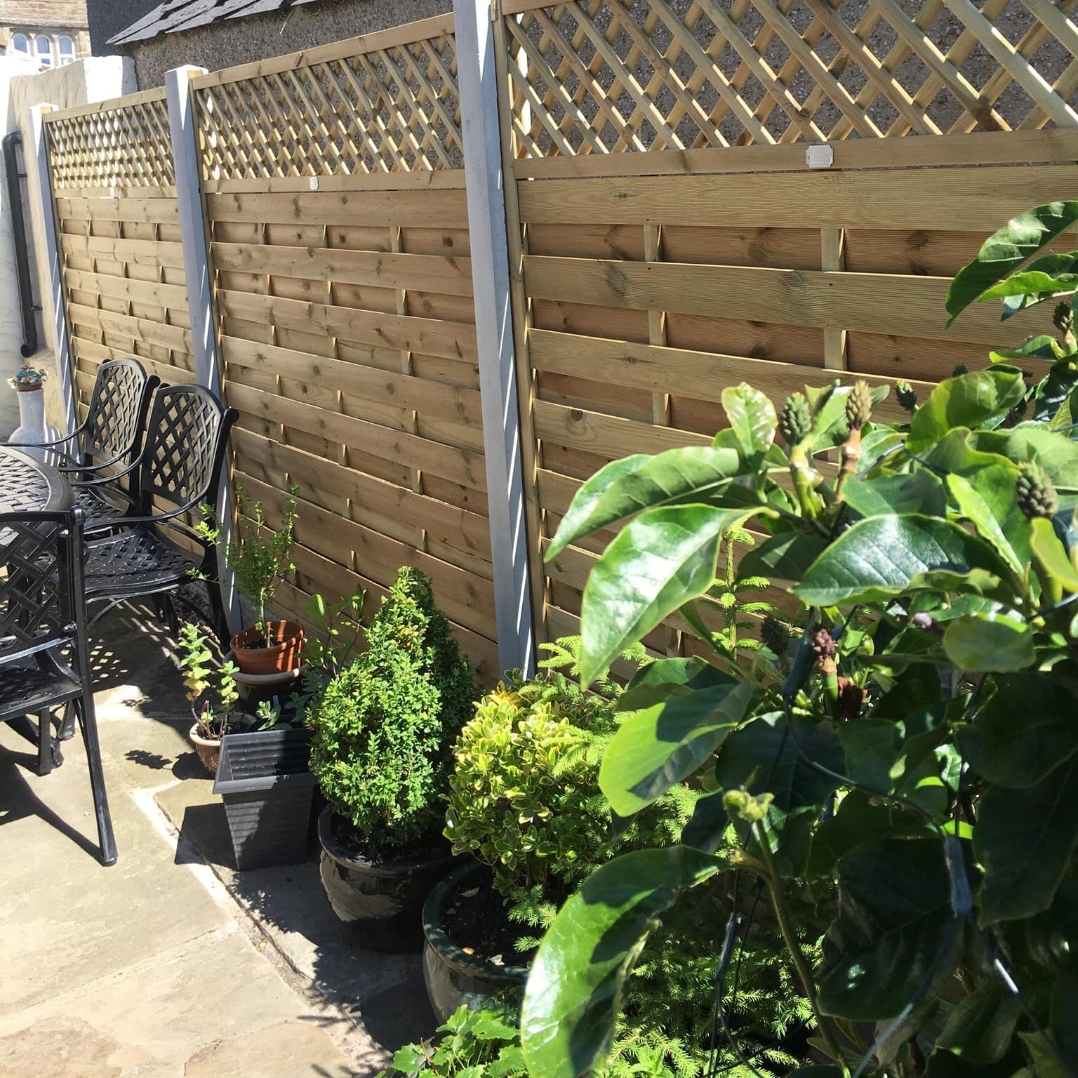 New, professional fencing surrounded by shrubbery