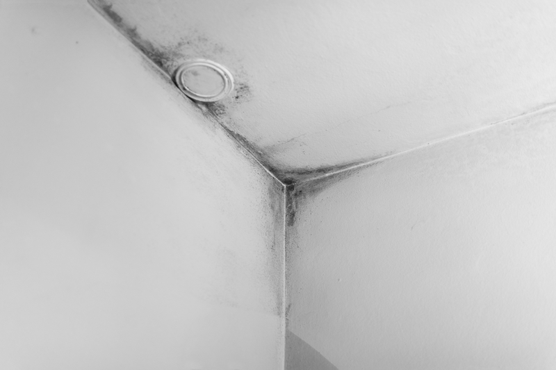 mould on walls