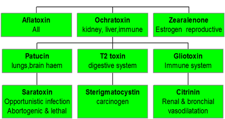 table showing affectof mycotoxins