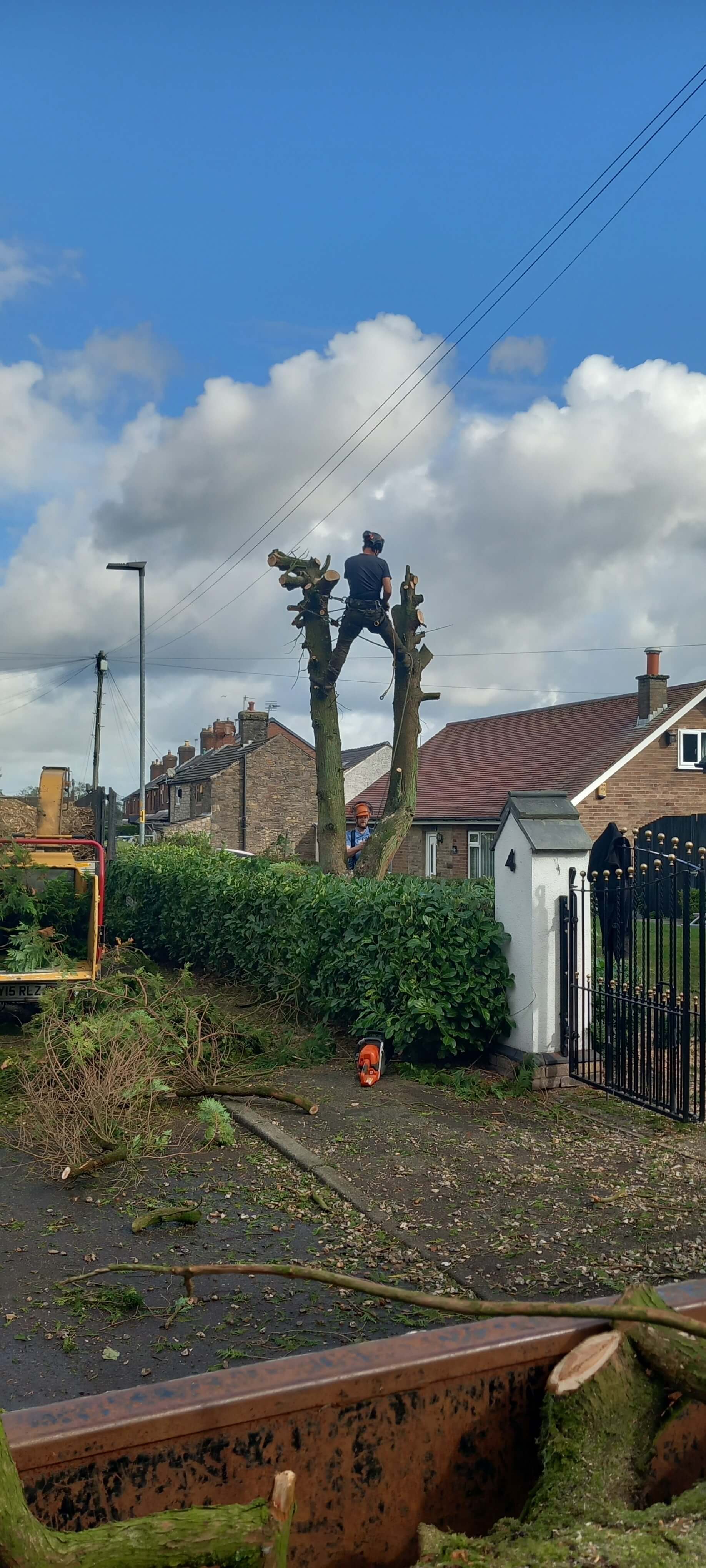 Freshly Cut Bushes on a Corner