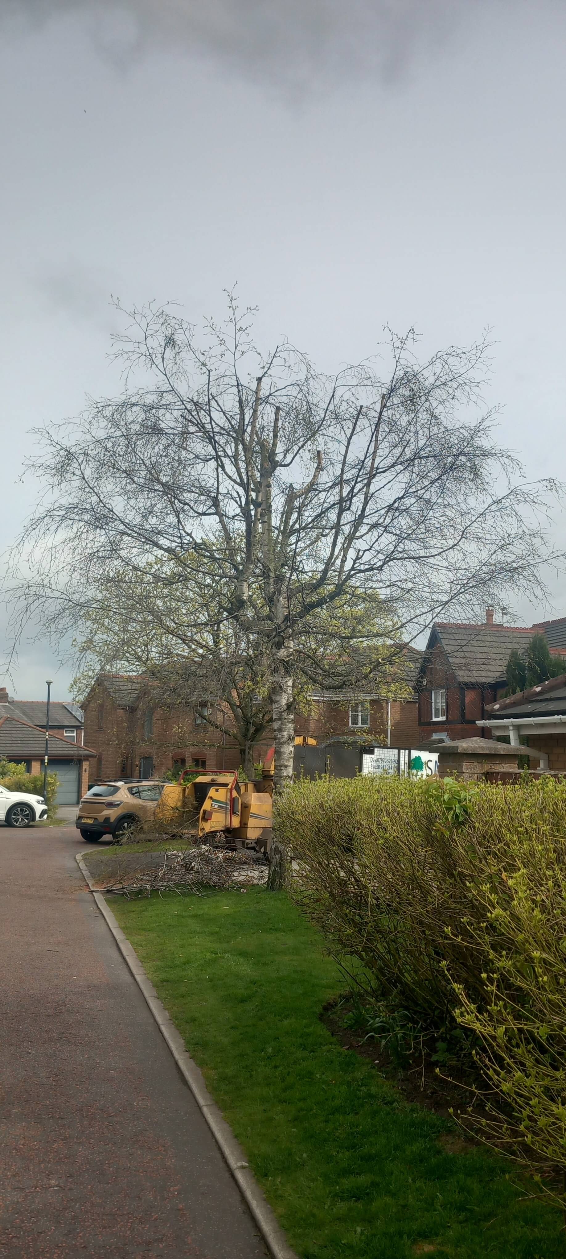 Landscaping work