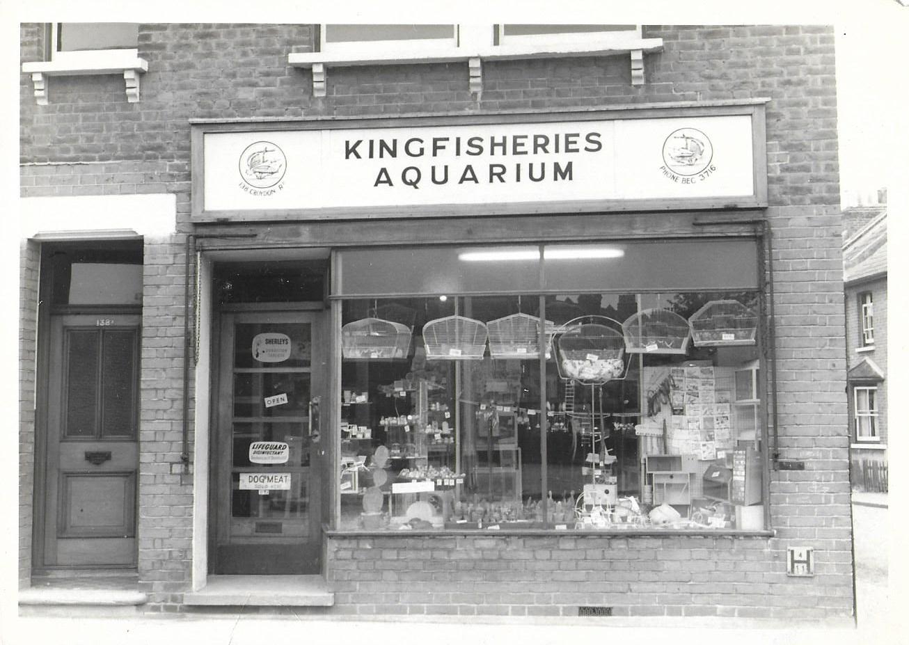 Kingfisheries Aquarium