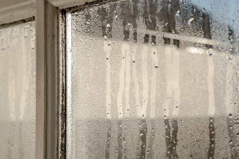 Condensation on a Window
