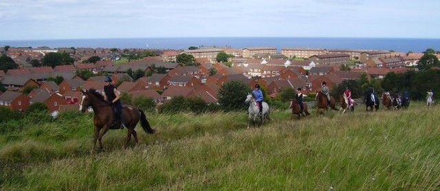 People riding horses through field.