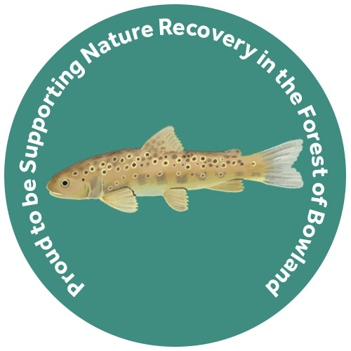 Nature Recovery in the Forest of Bowland