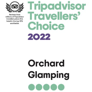 Trip Advisor 2022 Award
