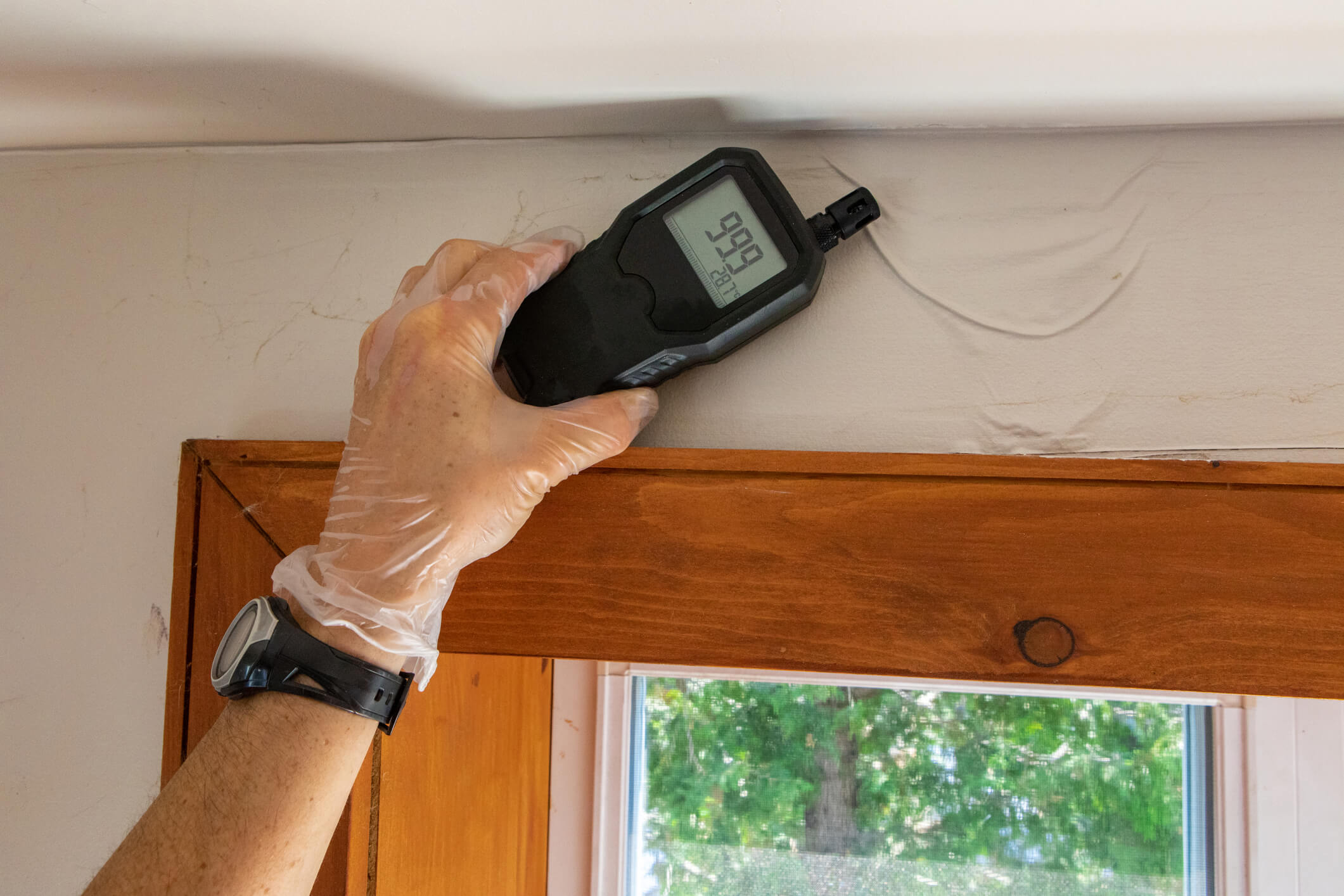 surveyor checking building for damp