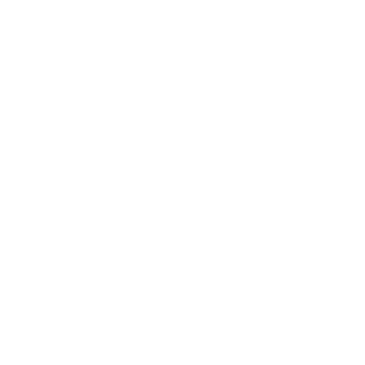 roof icon