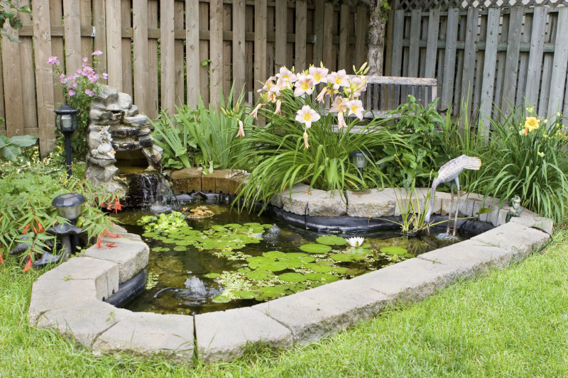 Water Features & Ponds