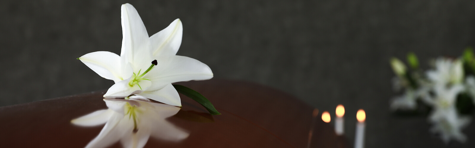 Wooden casket with white lily in funeral home, closeup