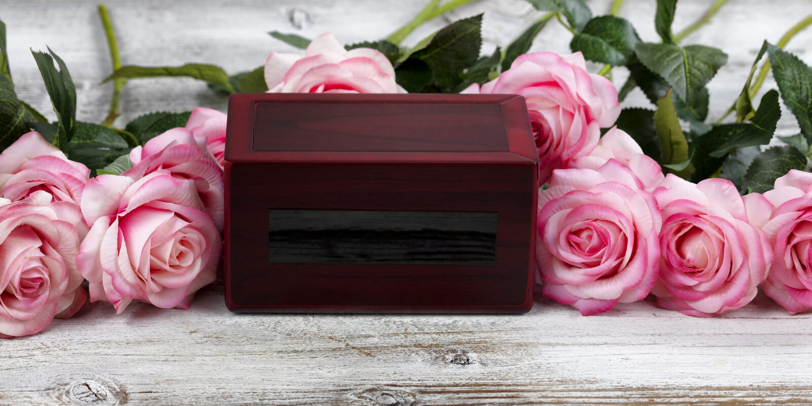 Close up of a cremation funeral box with rose flowers for death concept
