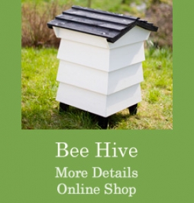 Bee 

HIve