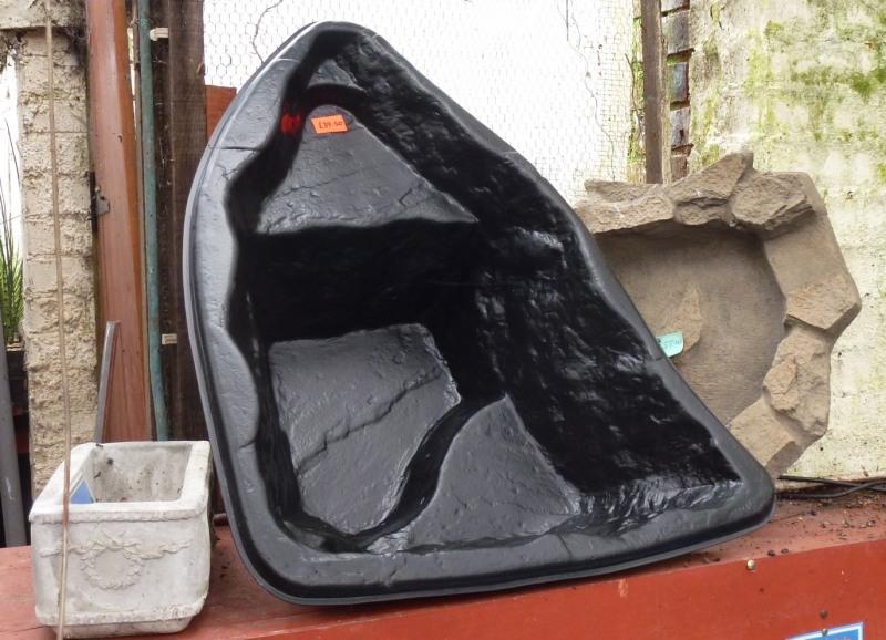 Special Offers Kingfisheries Aquarium Ltd