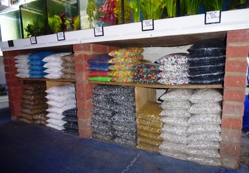 Special Offers Kingfisheries Aquarium Ltd