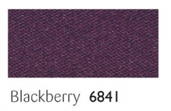 25mm Blackberry ribbon - 20 meter reel