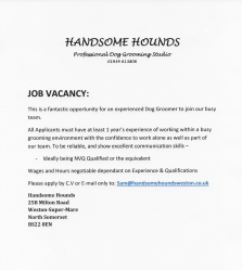  HANDSOME HOUNDS Professional Dog Grooming Studio  01934 613806      JOB VACANCY:  This is a fantastic opportunity for an experiencedDog Groomer to join our busy team.  All Applicants must have at least 1 years experience of working within a busy grooming environment with the confidence to work alone as well as part of our team. To be reliable, and show excellent communication skills  -Ideallybeing NVQ Qualified or the equivalent Wages and Hours negotiable dependant on Experience & Qualifications  Please apply by C.V or E-mail only to: Sam@handsomehoundsweston.co.uk   Handsome Hounds  258 Milton Road  Weston-Super-Mare  North Somerset  BS22 8EN  