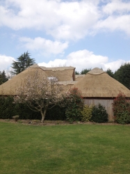 Thatching on country bungalow