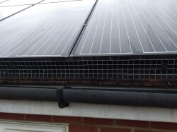 bird proof meshing, protecting bottom of solar panel and top of gutter, bedfordshire