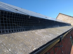 bird proof mesh installed under solar panels, bedfordshire