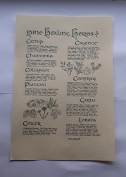 Healing Herbs Poster