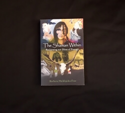 The Shaman Within