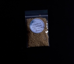 Dried Mustard Seeds