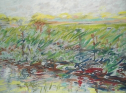 Riverbank. Barnwell
