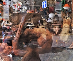 After Titian