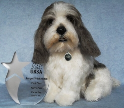 8TH Annual URSA awards competition 2013 - Category 16