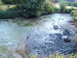 Pond full up with silt. Remaining water pumped out and ready to start digging the silt out.