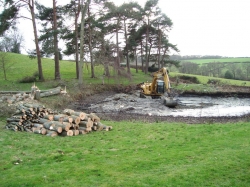 This shows the trees we felled and logged up for client...