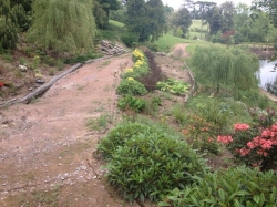 All plants were carefully removed so that they could be re-planted once the stabilisation work has been carried out