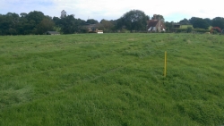 The site of where the arena will be