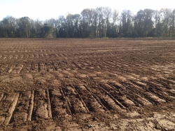 A pitch levelled to within 6mm, ready for cultivation and seeding