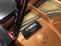 Yamaha C3 Studio Grand Piano
