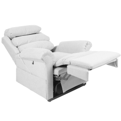 660 Dual Motor Rise and Recline Chair