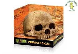 Exo Terra Primate Skull
