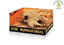 Exo Terra Buffalo Skull