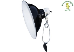 Komodo Bulb Dome Clamp Lamp 60w