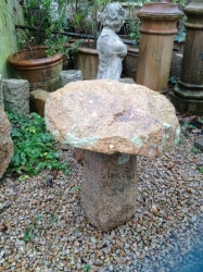 Jersey Granite Mushroom
