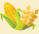 Corn Graphic