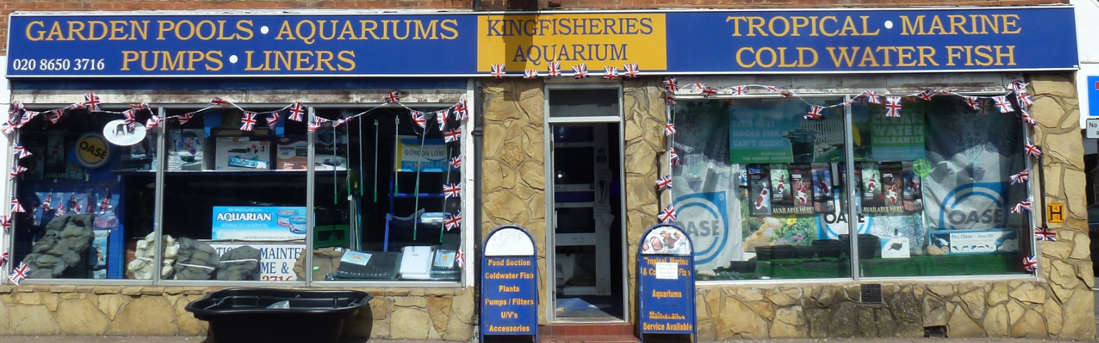 Welcome to Kingfisheries Aquarium Ltd