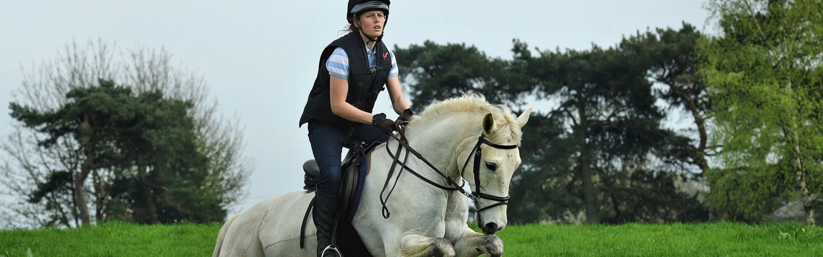 Livery Fees