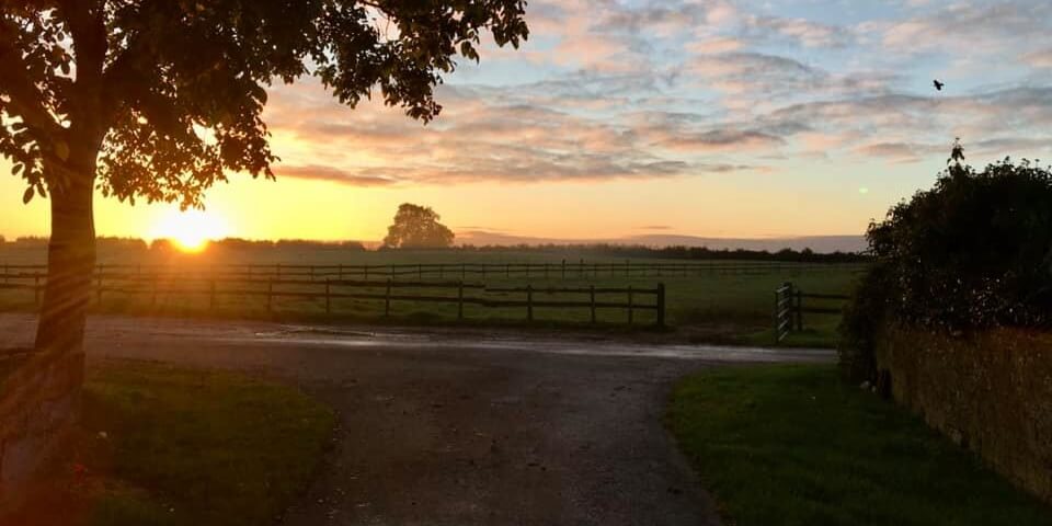 A Green Field in Sunset