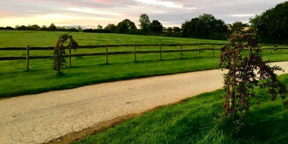 A Green Field with a Fence